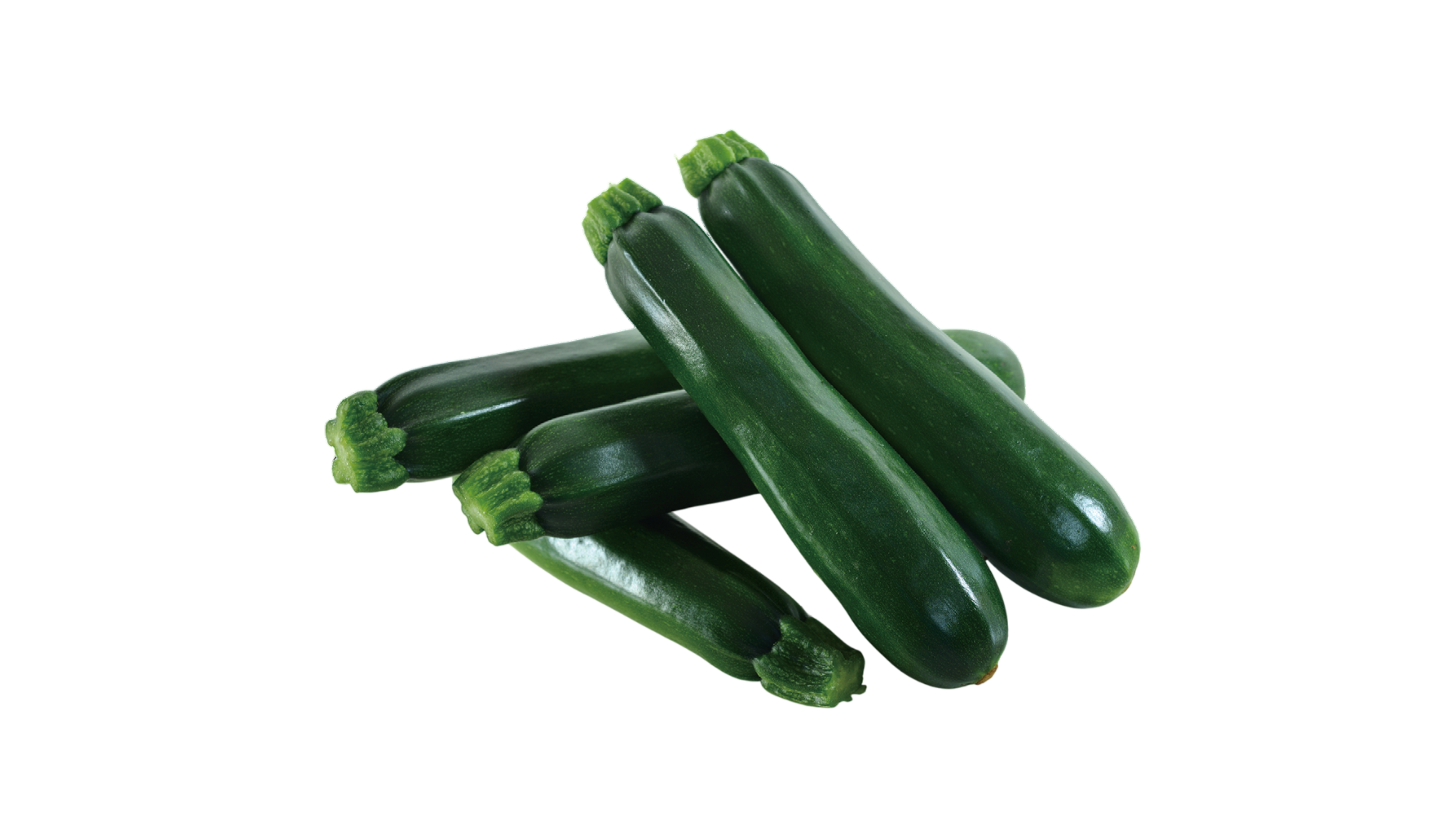 Winter Squash (Zucchini)